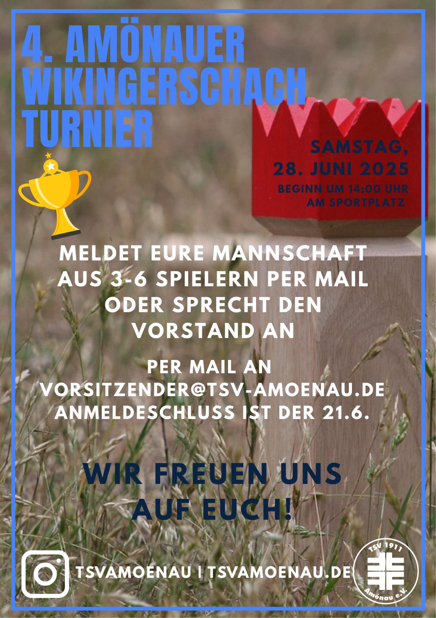 TSV_Sporttag_Wikinger_Schach_28_06_2025