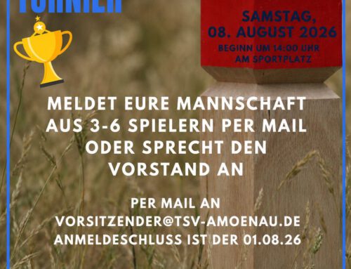 5. Amönauer Wikingerschachturnier Anmeldung für den 08.08.2026